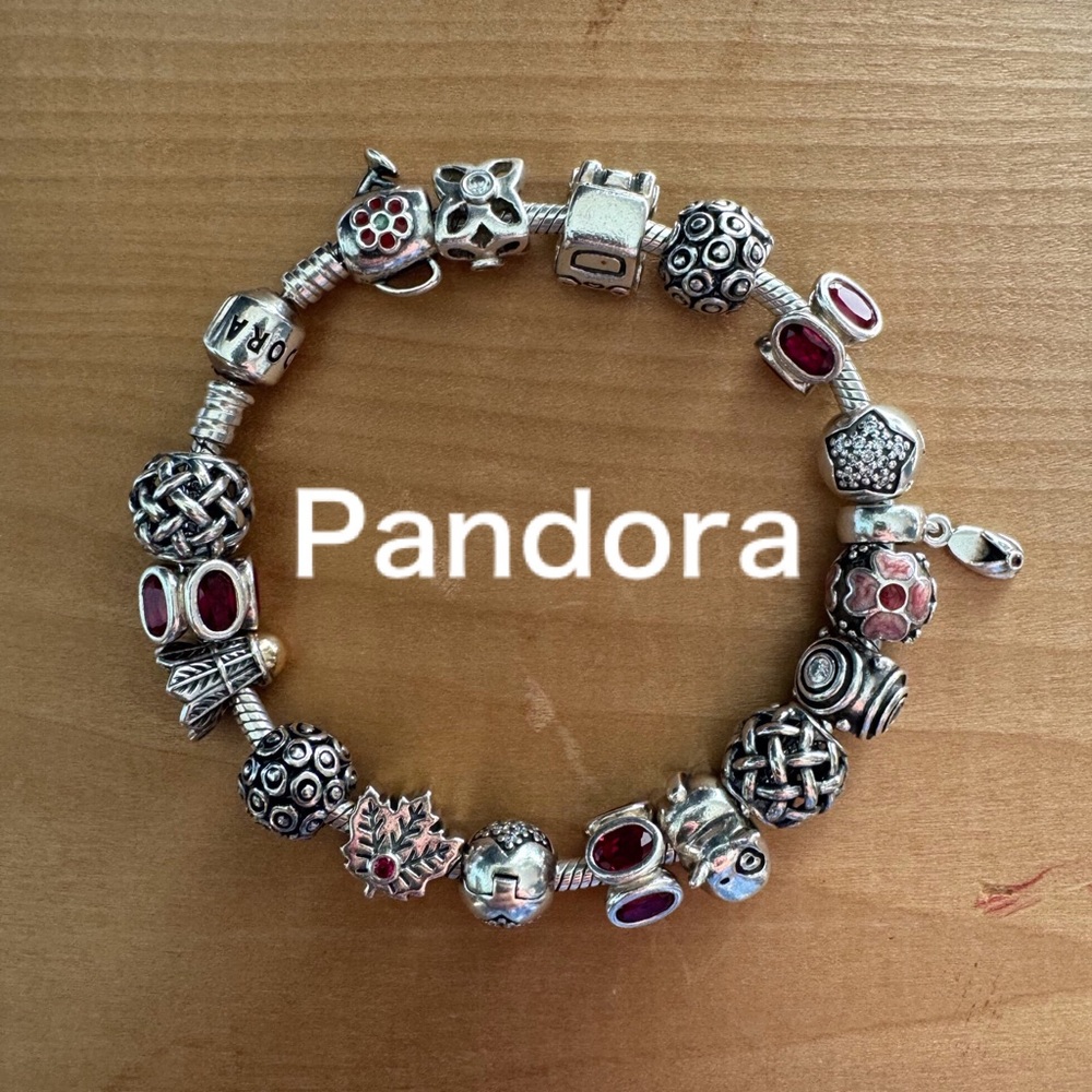 Pandora Curated Ruby Red Bracelet - image 1